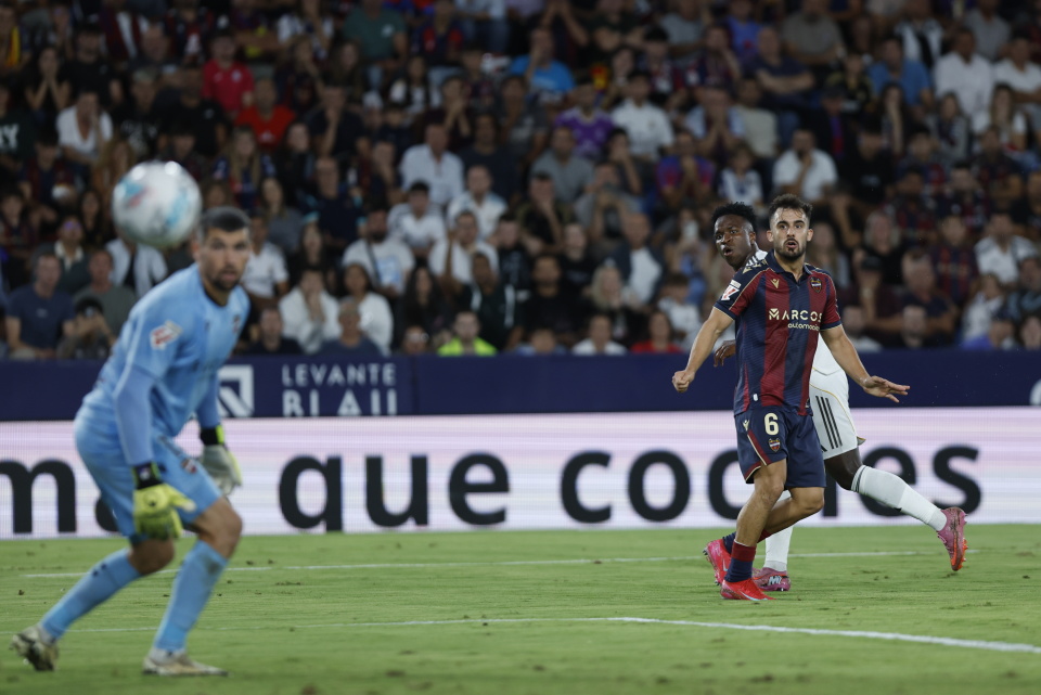 左二, FgjeV, 欧新 左二, FgjeV, 欧新